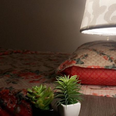 Fully Serviced Holiday Home Near Lyallpur Galleriaファイサラーバード エクステリア 写真