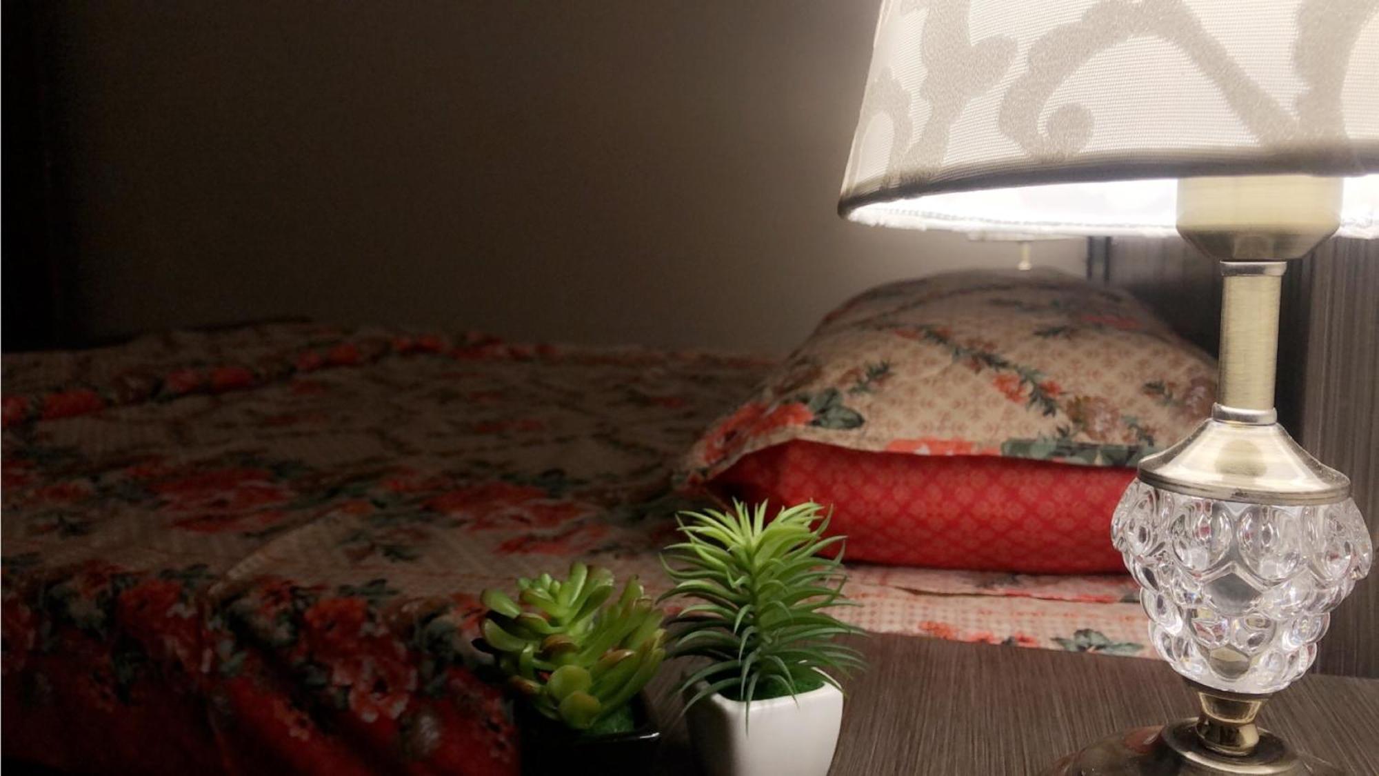 Fully Serviced Holiday Home Near Lyallpur Galleriaファイサラーバード エクステリア 写真
